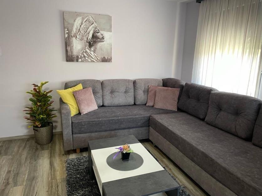 Apartments Dora Sveti Martin Na Muri Eksteriør bilde